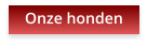 Onze honden
