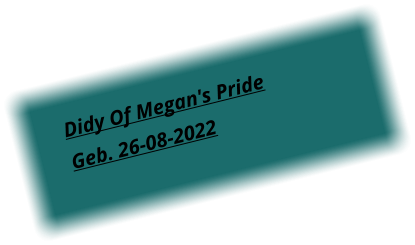 Didy Of Megan's Pride  Geb. 26-08-2022