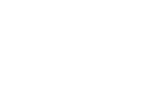 Uitslag Evy  HD A                      ED vrij                      DM drager                      HdG normaal                      DNA vastgelegd  Rntgenfoto rug/ geen afwijkingen