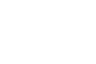 Uitslag Evy  HD A                      ED vrij                      DM drager                      HdG normaal                      DNA vastgelegd  Rntgenfoto rug/ geen afwijkingen